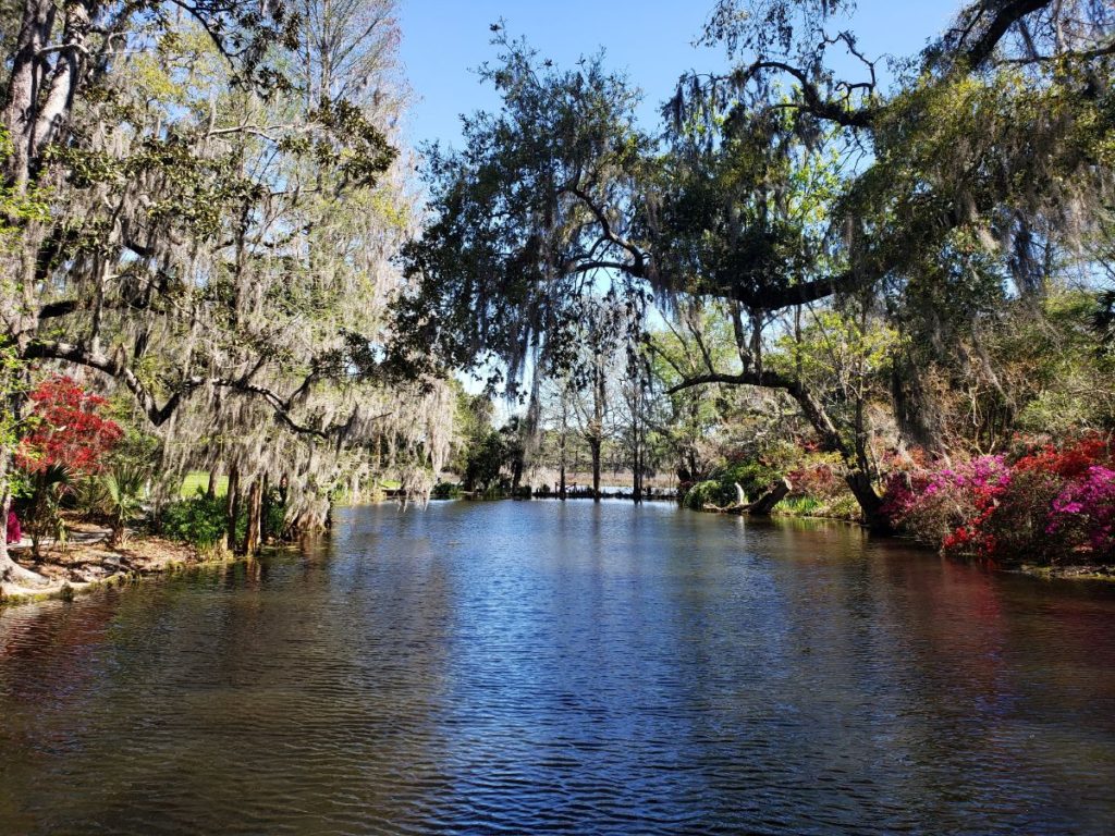 lake at magnolia plantation in charleston